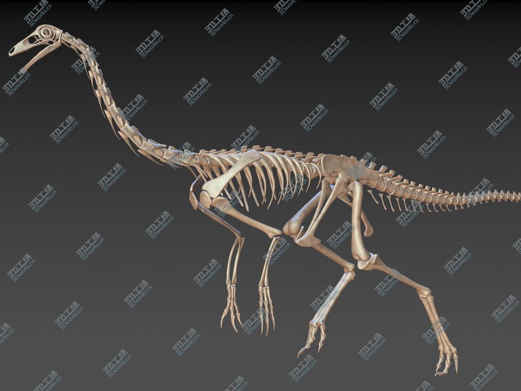 images/goods_img/20210113/20 in1 Dino skeleton Collection model/3.jpg